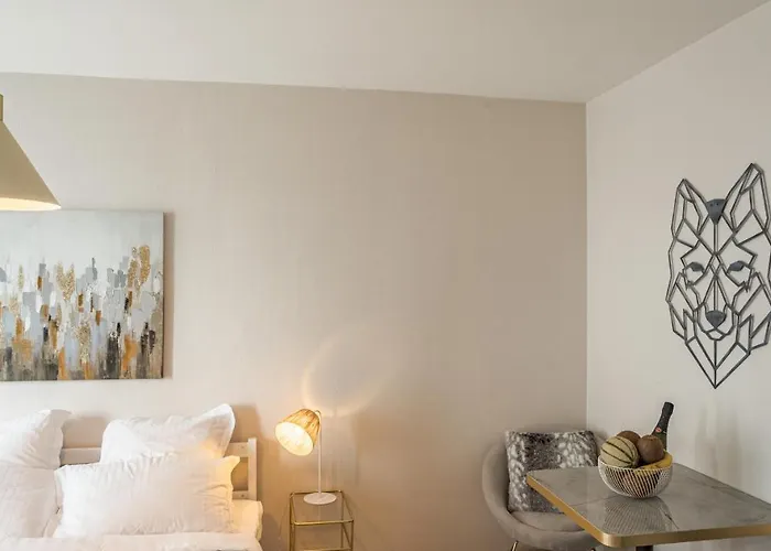 Voltaire Wolf - 5 Min Hypercentre - Parking Privé Troyes